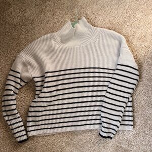 Truth Black and White Striped Turtleneck Sweater